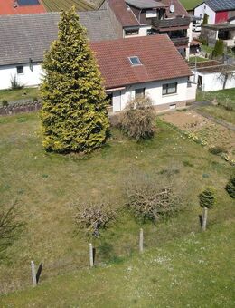 Attraktives 1-FH mit großzügigem Grundstück in Bernstadt - Bernstadt