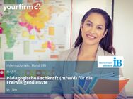 Pädagogische Fachkraft (m/w/d) für die Freiwilligendienste - Ulm