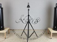 HIFI Highend Transmissioninline Kugelschall Lautsprecher NWS Naturwirbelschall mit Markaudio Alpair7P - Waibstadt