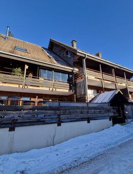 Feldberg - Bestlage 1 Zi. Whg mit Balkon + Tiefgaragenplatz - Feldberg (Schwarzwald)