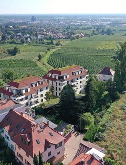SONNENVERWÖHNTE 2-ZIMMER-WOHNUNG MIT UNVERBAUBARER AUSSICHT - Neustadt (Weinstraße)