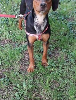 SABRiNA 💞 möchte dich begleiten - Mylau
