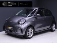 smart EQ forfour, SDach, Jahr 2021 - Elmshorn