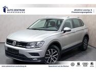 VW Tiguan 4Motion DSG PANO LEDER SPUR NAVI SHZ PDC - Wardenburg