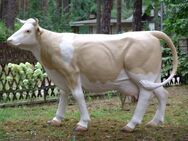 Deko Kuh lebensgroß, "Hanni", Simmentaler Art, braun weiß, 220cm Artikelnummer: 2052 - Heidesee