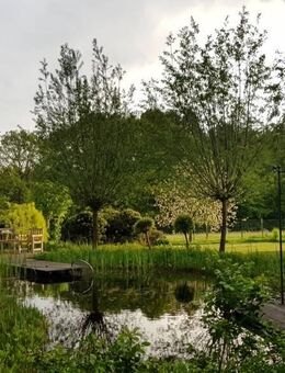 Eine Oase mit unverbaubarem Ausblick - Remscheid
