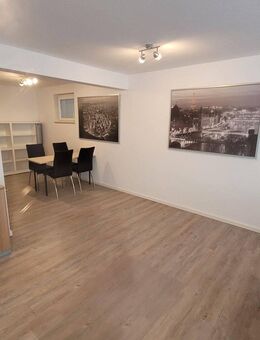 geräumige 1-Zimmerwohnung, inkl. Küche - Langenzenn