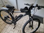 E-Bike MONTIS EM 1724 557 - Metzingen
