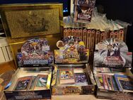 Yu-Gi-Oh! Sammlung (Karten, Manga und Co) - Mainz