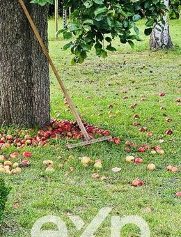 Apfelernte im eigenen Garten - Historischer Landsitz für Liebhaber des Besonderen - Grambow (Landkreis Vorpommern-Greifswald)