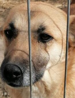 Annabella - Rotenburg (Fulda)