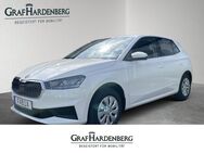 Skoda Fabia, 1.0 Active, Jahr 2023 - Radolfzell (Bodensee)