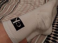 Calvin Klein Socken getragen - Berlin Charlottenburg-Wilmersdorf