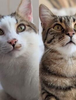 Piff und Spooky - Ellerbek