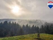 Natur pur - Mehrfamilienhaus mit Stalll und Weide in Bonndorf-Brunnadern - Bonndorf (Schwarzwald)