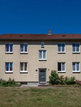 Gemütliche Wohnung in Brakel zum 16.01.2026 gesucht? - Brakel