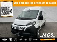 Fiat Ducato, 33 L3H2 Kasten #140 # # #ALLWETTER, Jahr 2022 - Bayreuth