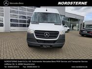 Mercedes Sprinter, 3ochdach L2H2 Automatik Basic, Jahr 2023 - Neuenkirchen (Landkreis Osnabrück)