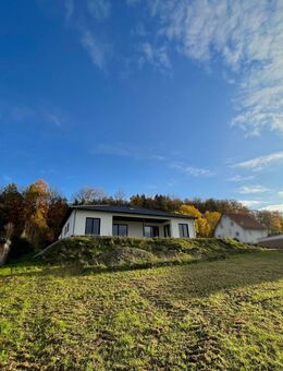 Exklusiv und hochwertig! Bungalow auf großem Grundstück mit Weitblick in Bad Gandersheim - Bad Gandersheim