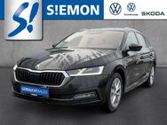 Skoda Octavia, 2.0 TDI Combi FirstEdit, Jahr 2021 - Ibbenbüren