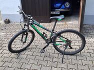 26 zoll fahrrad,Bulls Fahrrad,jugendrad - Gräfelfing
