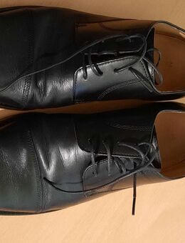 Derby Schuhe (Anzugsschuhe) zanon & zago Größe 44 - Norderstedt