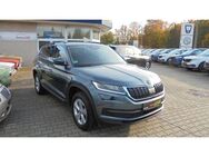 Skoda Kodiaq Drive 125 4x4, DSG,DAB-Radio,Keyless,Allw - Dresden