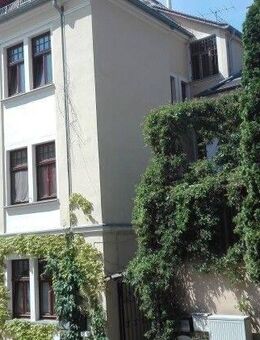 kleine Rendite im Stadtzentrum von Zittau - Zittau