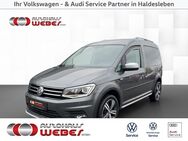 VW Caddy, 2.0 l TDI ALLTRACK, Jahr 2017 - Haldensleben