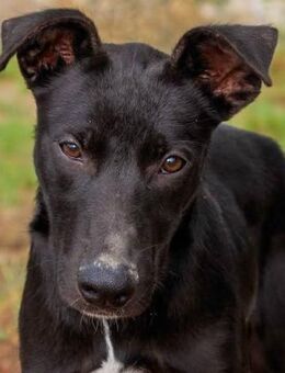 Leticia ist ein Schatz - Donaueschingen