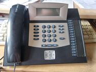 Auerswald COMpact 5010 VoIP mit Telefon an - Neustadt (Coburg)