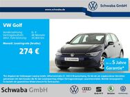 VW Golf, 2.0 TDI VIII Life LANE, Jahr 2023 - Gersthofen