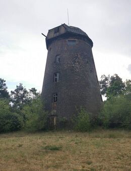 Ferienhaus mit Mühle am Badesee - Treuenbrietzen