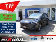 Ford Kuga 2.5 PHEV ST-LINE - iACC, Panorama, Allw. - Arnstadt