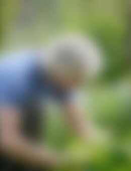 Lie*** - Freiburg (Breisgau)