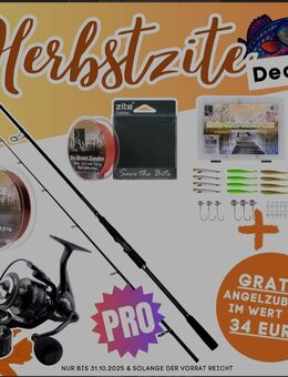 Inzite Pro Stick/ Zanderangel komplett Set - Langwedel (Niedersachsen)