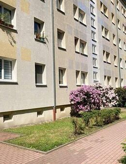 Viel Raum für die ganze Familie - Hermsdorf
