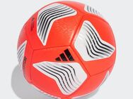 adidas Performance Fußball PREDATOR TRN (1-St)