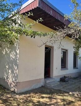 Charmantes Gartenhaus auf idyllischem Freizeitgrundstück - Pachtland in Oschatz Stadtteil Kleinforst - Oschatz