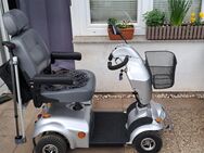 DIETZ Agin Mobilitäts Elektro Scooter 6km/h - Scharbeutz