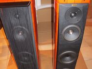 Sonus Faber Amati Homage High End Standlautsprecher - Köln