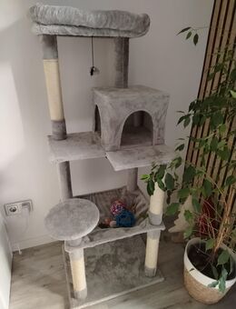 Neuwertiger Kratzbaum - Pattensen