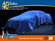 VW Golf, 2.0 TDI VIII 150 Life STAND-H, Jahr 2020 - Bautzen