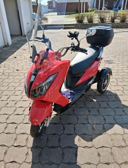 -Erwachsenen/Senioren-E-Mobil/Roller-zweisitzig - Laatzen