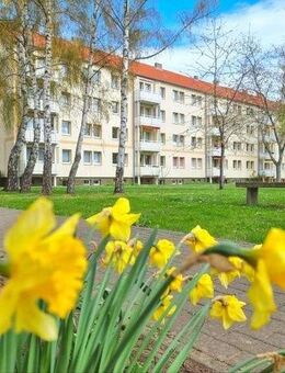 Hier riecht es noch nach Farbe. Koffer packen und einziehen. - Magdeburg
