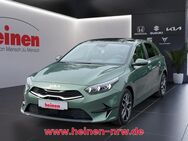 Kia cee'd, 1.5 ceed PLATINUM, Jahr 2024 - Menden (Sauerland)