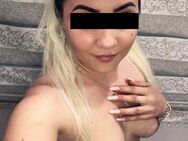 ganz NEU ! 🌺 SAMIRA, 26 J. 🔥 heiße Lust-Maus aus Spanien voller Leidenschaft 🔥 Besuchbar + Haus- und Hotelbesuche!!! - Stuttgart Zentrum