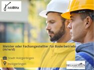 Meister oder Fachangestellter für Bäderbetriebe (m/w/d) - Holzgerlingen