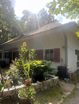 Idyllisches Kleinod in Hof wartet auf seine Vollendung - Hof