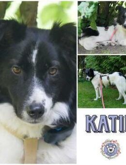 KATIE * hat Lust auf Leben - Duisburg